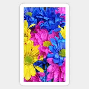 Bright Dyed Daisies, Natural Pattern Sticker